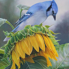 Схема вышивки «птичка»