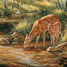 Схема вышивки «№1404726»