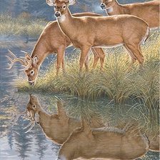 Схема вышивки «№1404728»