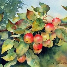 Схема вышивки «яблоки на ветке»