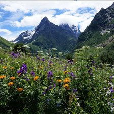 Схема вышивки «Домбай»