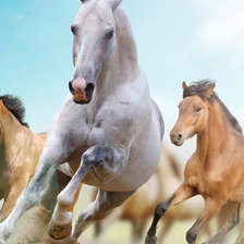 Схема вышивки «лошади»