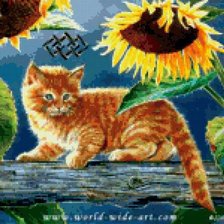 Схема вышивки «рыжий котик»