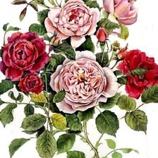 Схема вышивки «простой букет»