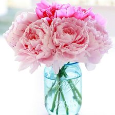 Схема вышивки «Пионы»