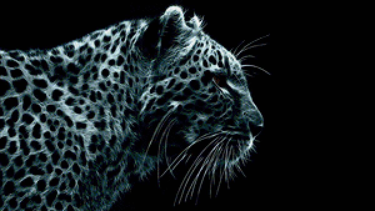 СНЕЖНЫЙ БАРС - предпросмотр