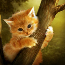 Схема вышивки «котенок»