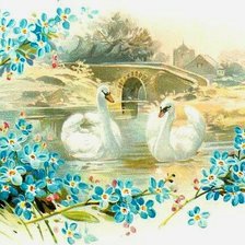 Схема вышивки «Лебеди»