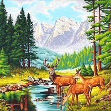 олени в горах