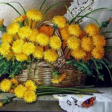 одуванчики