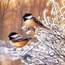 Схема вышивки «Серия "Птицы"»