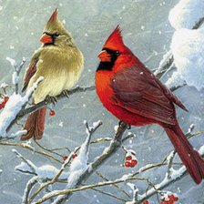 Схема вышивки «Серия "Птицы"»