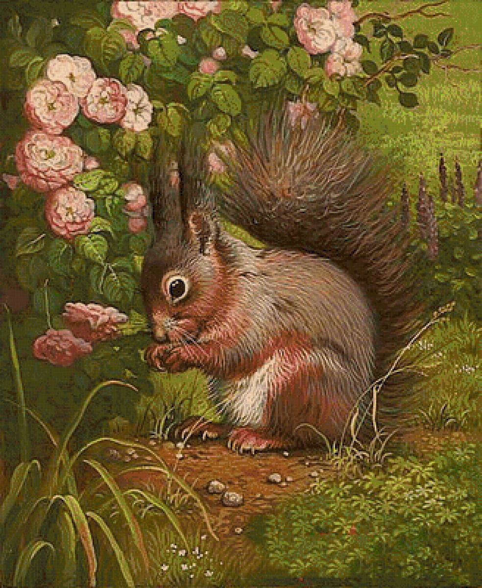 689 - белочка - предпросмотр