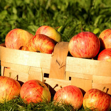 Схема вышивки «№1407136»