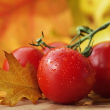 Схема вышивки «№1407146»