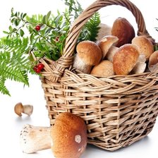 Схема вышивки «№1407157»