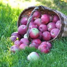 Схема вышивки «№1407186»