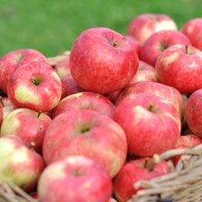 Схема вышивки «№1407187»