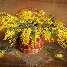 Схема вышивки «№1407337»