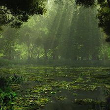 Схема вышивки «№1407510»