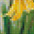 Предпросмотр схемы вышивки «кандык жёлтый» (№1407756)