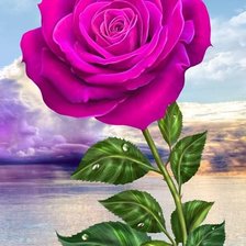 Схема вышивки «роза»