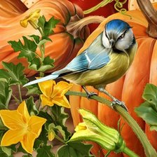 Схема вышивки «синичка»