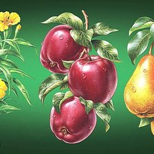 Схема вышивки «691»