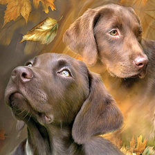 Схема вышивки «собачки»