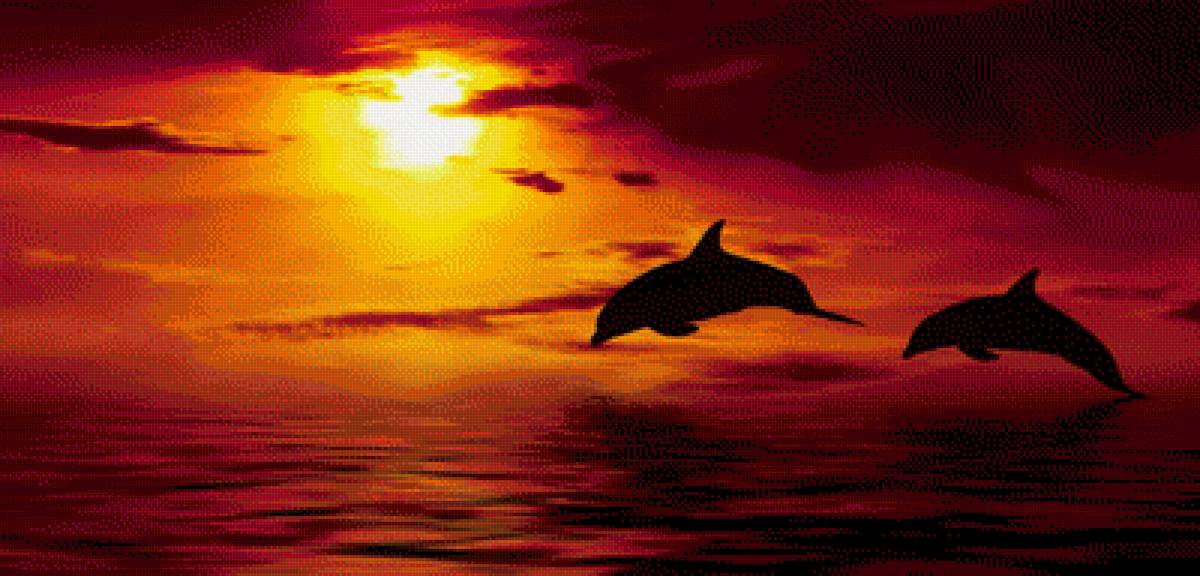 На закате - закат, море, дельфины - предпросмотр