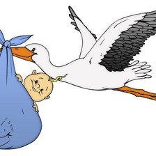 Схема вышивки «Аист»