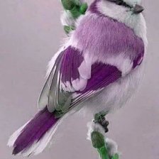 Схема вышивки «№1408885»