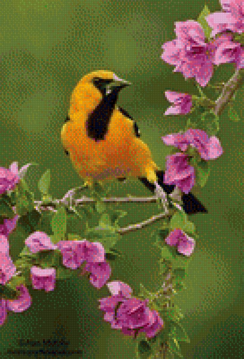 №1408886 - предпросмотр