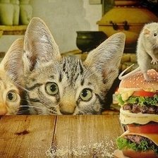 Схема вышивки «кошки-мышки»