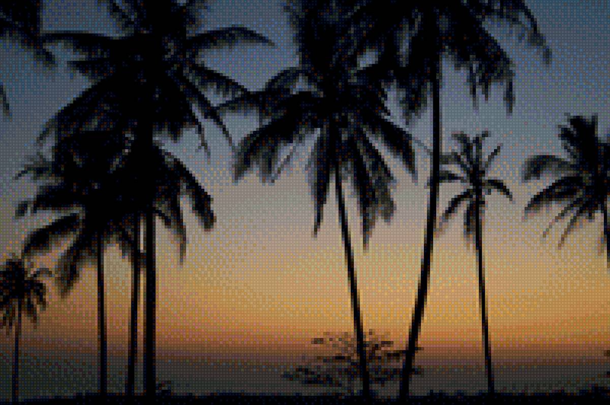 Пальмы - пальма пляж закат - предпросмотр