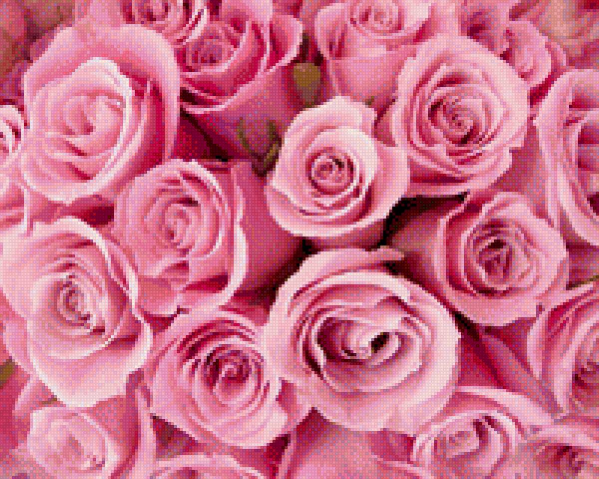 розы - предпросмотр