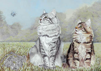 кошки пара - природа, кошки - оригинал