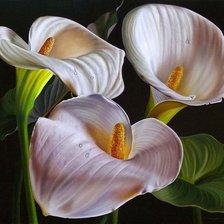 Схема вышивки «волшебные цветы»