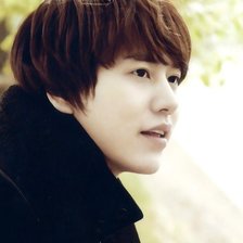 Схема вышивки «SJ Kuxon»