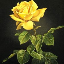 Схема вышивки «роза 2»