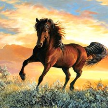 в лучах заката