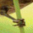Предпросмотр схемы вышивки «Птичка» (№1410031)