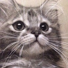 Схема вышивки «котенок»