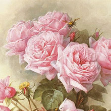 Схема вышивки «Розы»