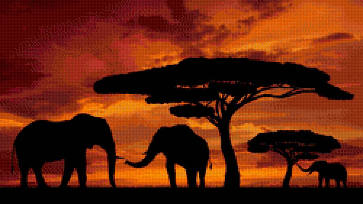 слоны - предпросмотр