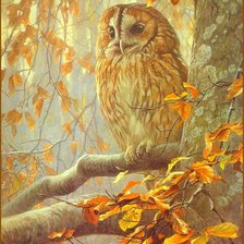 Схема вышивки «сова»