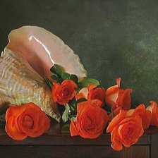 Схема вышивки «№1413579»