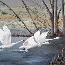 Схема вышивки «Лебеди»