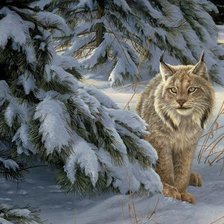 Схема вышивки «Рысь»