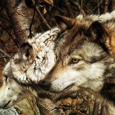 Схема вышивки «Волки»